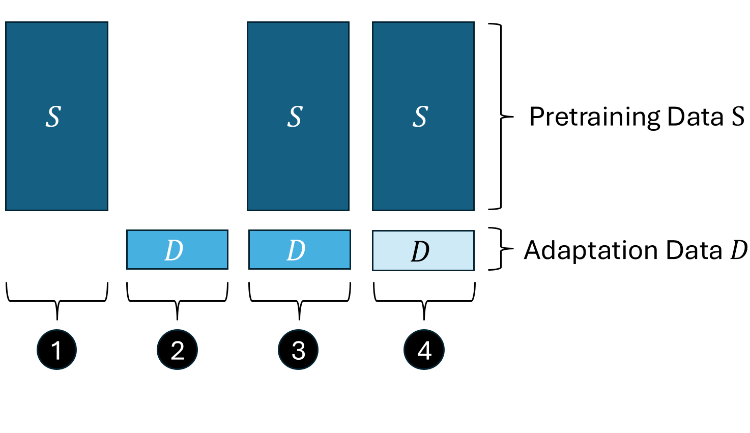 Setup for Privacy Auditing of Private LLM Adaptations