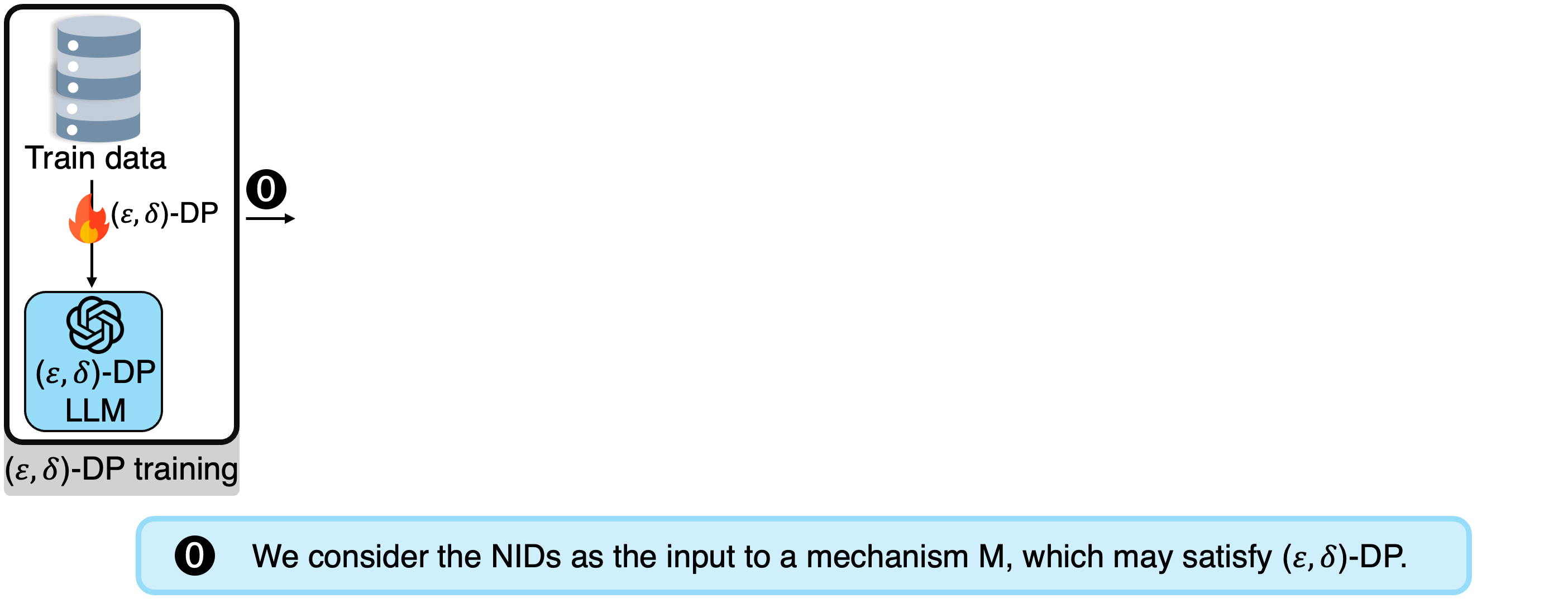 DP Auditing with NIDs