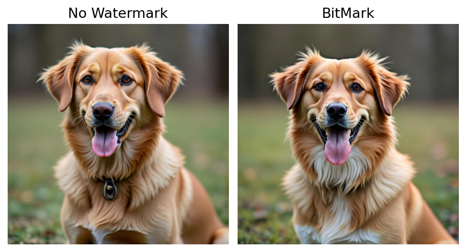 How BitMark affects the image quality